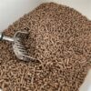 Biodegradable Classic Houtkorrels Kattenbakvulling 20 Ltr