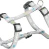Hondentuig Junior Met Riem Lichtgrijs 27-45X1 Cm / 2 Mtr