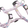 Hondentuig Junior Met Riem Lila 27-45X1 Cm / 2 Mtr