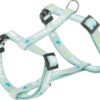Hondentuig Junior Met Riem Mintgroen 27-45X1 Cm / 2 Mtr