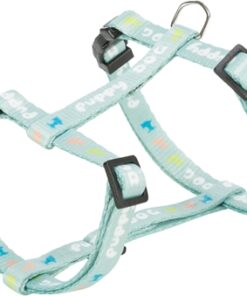 Hondentuig Junior Met Riem Mintgroen 27-45X1 Cm / 2 Mtr