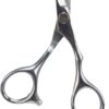 Professionele Gezicht-En Potenschaar Rvs 13 Cm
