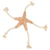 Be Nordic Zeester Jane Pluche / Touw Beige 32 Cm