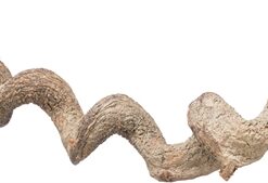 Zitstok Hangend Drakenhout 36 Cm Dia 2,5 Cm