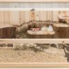 Knaagdierenverblijf Hout 100X50X50 Cm