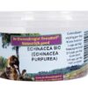 Echinacea Bio Capsules 50 St
