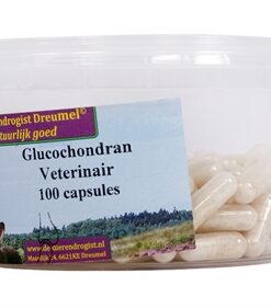 Glucochondran Capsules 100 St
