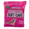 To Go Energie Blok Bessen 280 Gr