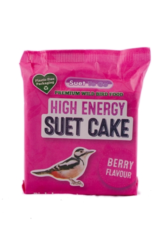 To Go Energie Blok Bessen 280 Gr