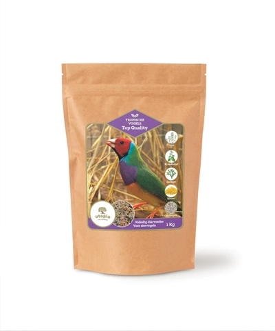 Tropische Vogels Top Quality 1 Kg