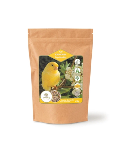 Kanaries Top Quality 1 Kg
