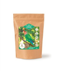 Grote Parkieten Afrikaans Top Quality 1 Kg