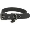 Citystyle Halsband Hond Pvc Zwart 50-57X3 Cm