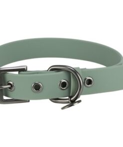 Citystyle Halsband Hond Pvc Salie 50-57X3 Cm