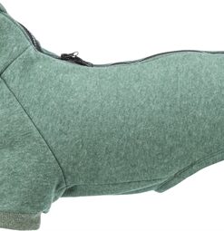 Citystyle Hondentrui Sweatshirt Amsterdam Saliegroen 62 Cm