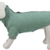 Citystyle Hondentrui Sweatshirt Amsterdam Saliegroen 30 Cm