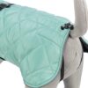 Citystyle Be Eco Hondenjas Oslo Gerecycled Jade Groen 62 Cm