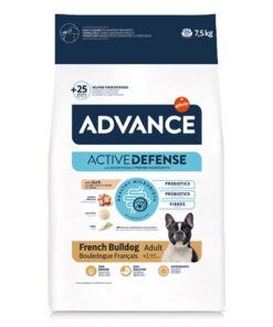 Adult French Bulldog 7,5 Kg