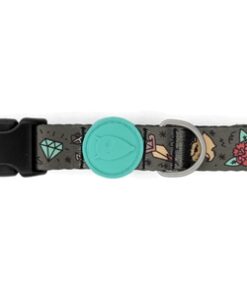 Halsband Hond Gerecycled Ink Tank Groen 30-42X1,5 Cm