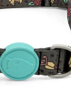 Halsband Hond Gerecycled Ink Tank Groen 37-58X2,5 Cm