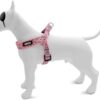 Mini Hondentuig Verstelbaar Gerecycled Sweet Tweet Roze 24-32X1,5 Cm