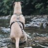 Hondentuig H-Tuig Gerecycled Full Metal Dog Bruin 50-70X1,5 Cm