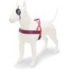 Norwegian Hondentuig Gerecycled Pink Think Roze 46-60X42 Cm