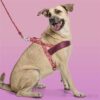 Norwegian Hondentuig Gerecycled Pink Think Roze 54-70X52 Cm