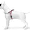 Norwegian Hondentuig Gerecycled Skyline Rood / Roze 80-110X66 Cm
