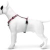 Hondentuig H-Tuig Gerecycled Skyline Rood / Roze 40-55X1,5 Cm