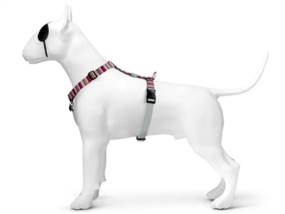 Hondentuig H-Tuig Gerecycled Skyline Rood / Roze 40-55X1,5 Cm