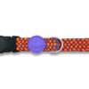 Halsband Hond Gerecycled Urban Lizard Rood 30-42X1,5 Cm