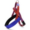 Norwegian Hondentuig Gerecycled Urban Lizard Rood 80-110X66 Cm