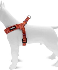 Mini Hondentuig Verstelbaar Gerecycled Urban Lizard Rood 24-32X1,5 Cm