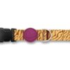 Halsband Hond Gerecycled Jungle Drum Oranje 30-42X1,5 Cm