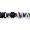 Halsband Hond Gerecycled Spaghetti Incident 30-42X1,5 Cm