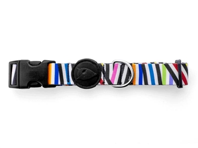 Halsband Hond Gerecycled Spaghetti Incident 30-42X1,5 Cm