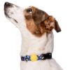Halsband Hond Gerecycled Color Invaders Paars 37-58X2,5 Cm