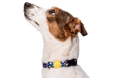 Halsband Hond Gerecycled Color Invaders Paars 37-58X2,5 Cm