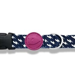 Halsband Hond Gerecycled Power Flow Zwart 30-42X1,5 Cm