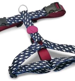 Hondentuig H-Tuig Gerecycled Power Flow Zwart 70-100X2,5 Cm