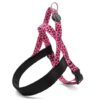 Norwegian Hondentuig Gerecycled Bubble Leo Roze 80-110X66 Cm
