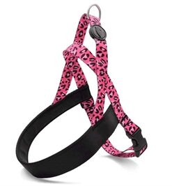 Norwegian Hondentuig Gerecycled Bubble Leo Roze 80-110X66 Cm