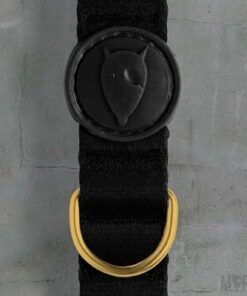 Halsband Hond Gerecycled Gold Caviar Goud 37-58X2,5 Cm