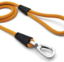 Hondenriem Regular Rope Gerecycled Gold Goud 120X1 Cm