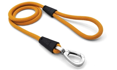Hondenriem Regular Rope Gerecycled Gold Goud 120X1 Cm