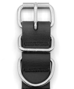 Halsband Hond Waterproof Gerecycled Black Zwart 23-31X1,5 Cm