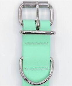 Halsband Hond Waterproof Gerecycled Carribean Green Groen 23-31X1,5 Cm