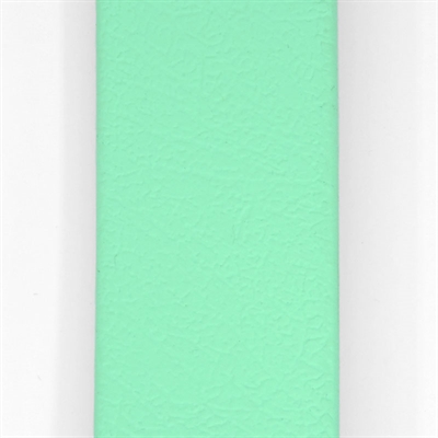 Halsband Hond Waterproof Gerecycled Carribean Green Groen 38-46X1,5 Cm