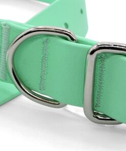 Halsband Hond Waterproof Gerecycled Carribean Green Groen 42-50X1,5 Cm
